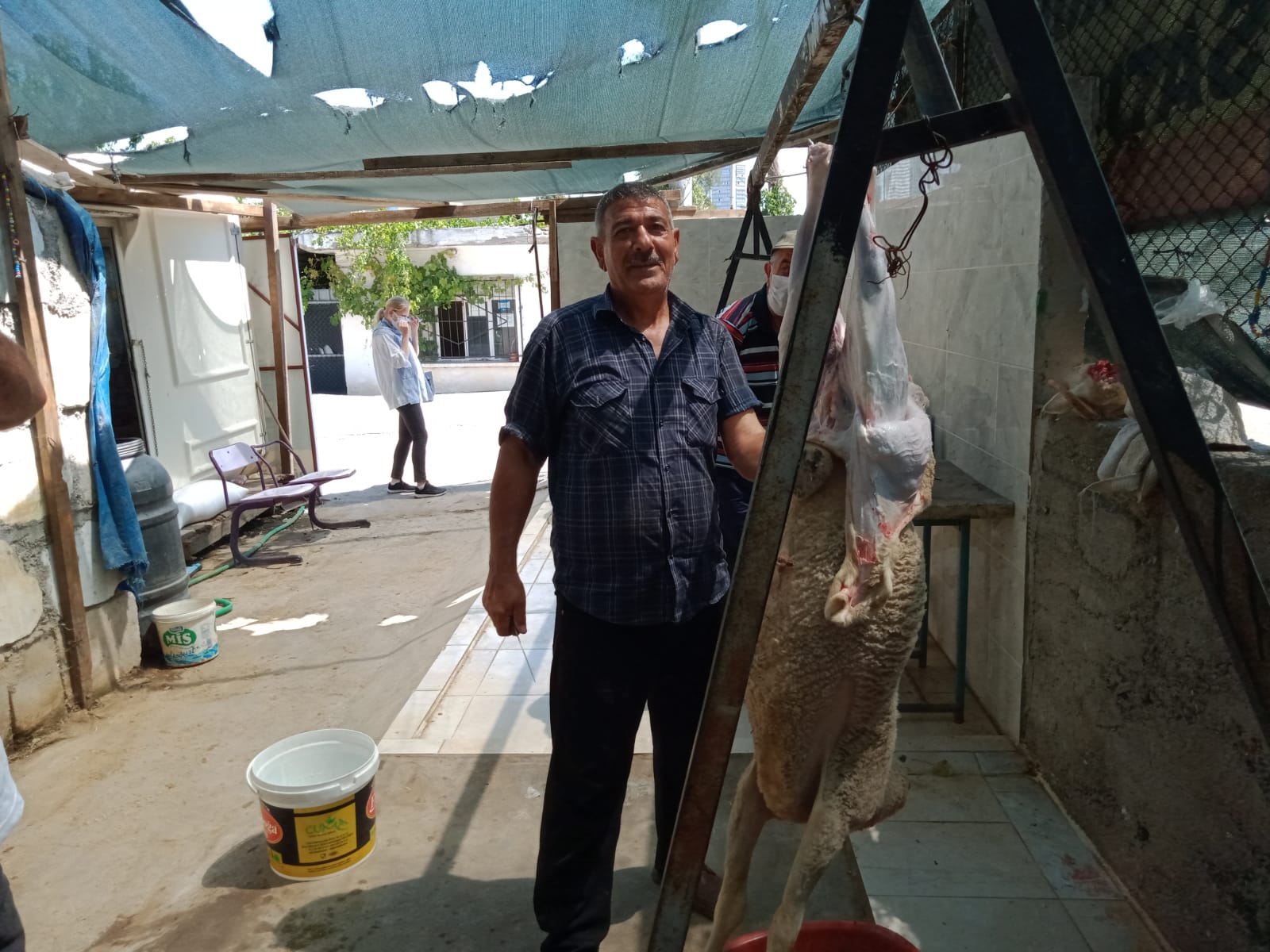 İzmir Adak Kurban Koç Satış