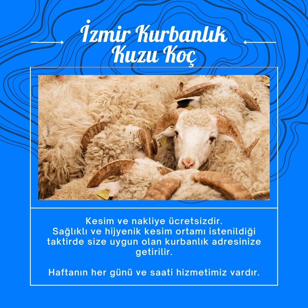 İzmir Kurbalık Kuzu Koç  - Hakkımızda